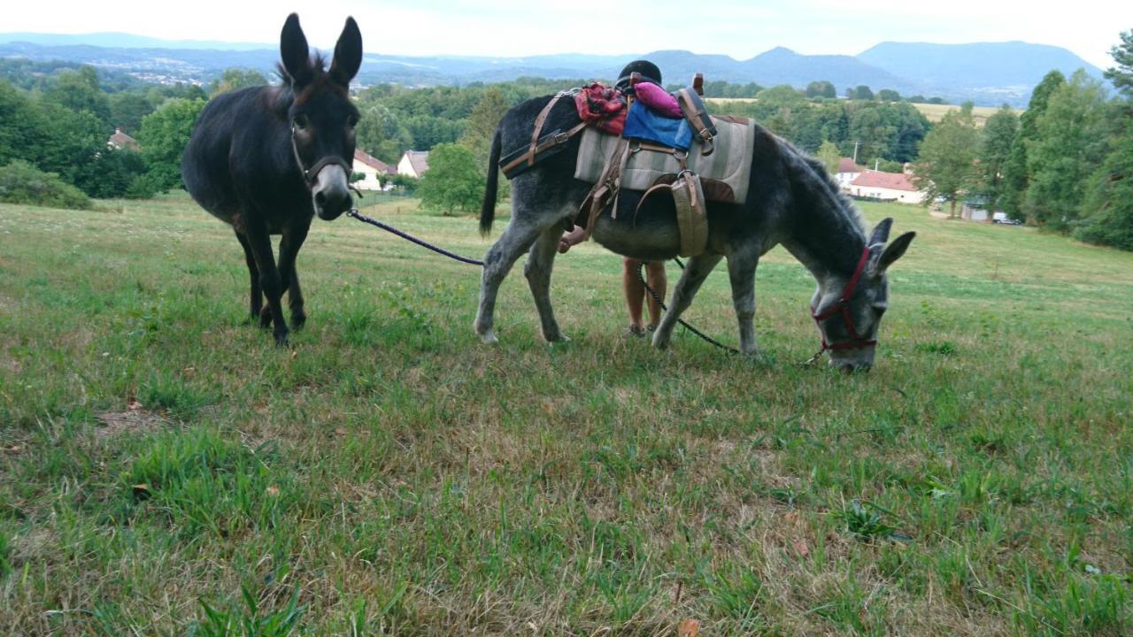 Saint-Michel-sur-Meurthe Roulotte Le Temps De Rever Bed & Breakfast エクステリア 写真