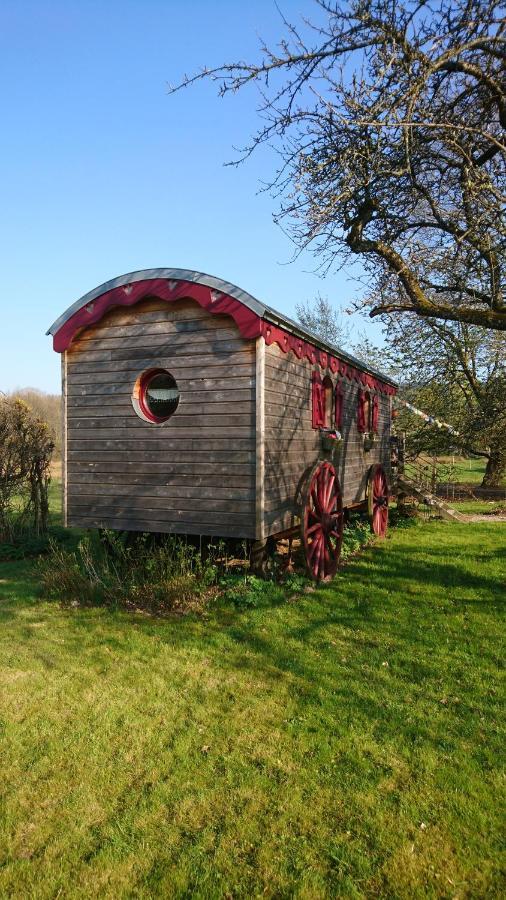 Saint-Michel-sur-Meurthe Roulotte Le Temps De Rever Bed & Breakfast エクステリア 写真