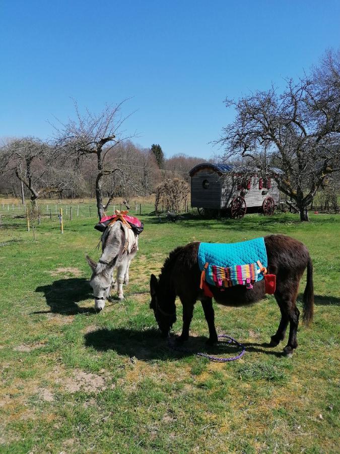 Saint-Michel-sur-Meurthe Roulotte Le Temps De Rever Bed & Breakfast エクステリア 写真