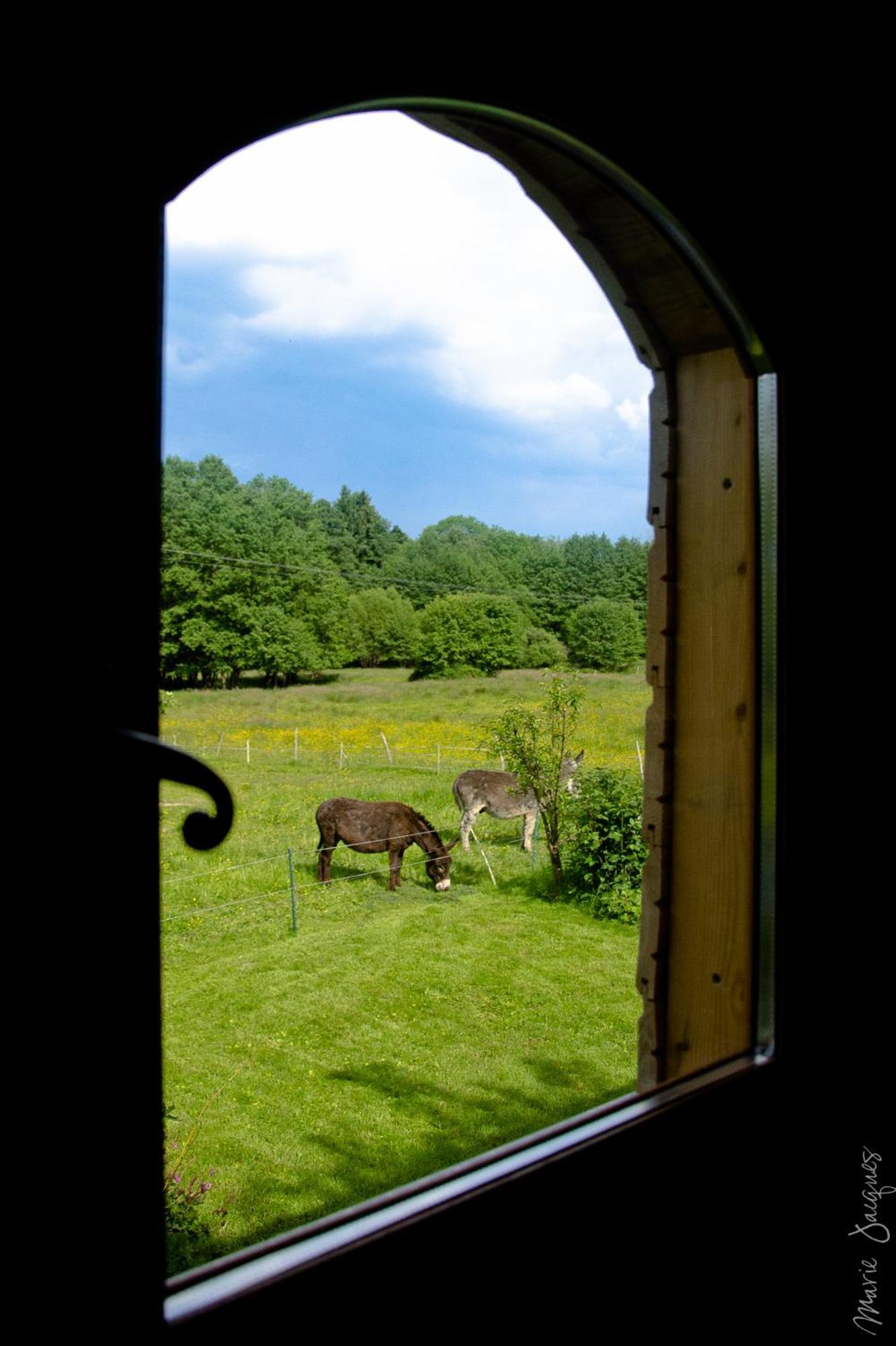 Saint-Michel-sur-Meurthe Roulotte Le Temps De Rever Bed & Breakfast エクステリア 写真