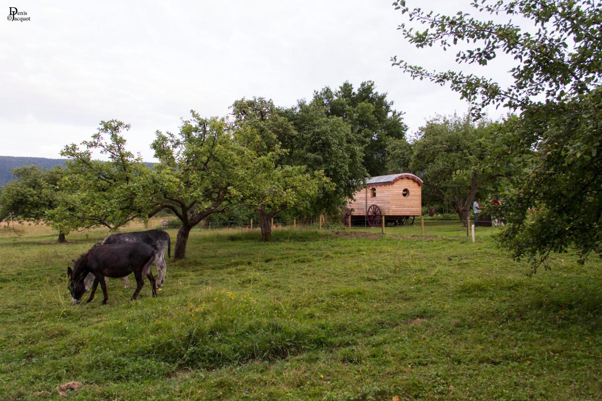 Saint-Michel-sur-Meurthe Roulotte Le Temps De Rever Bed & Breakfast エクステリア 写真